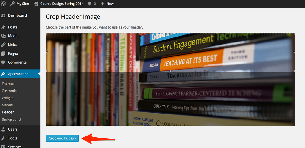 Screenshot highlighting the Crop and Publish button 