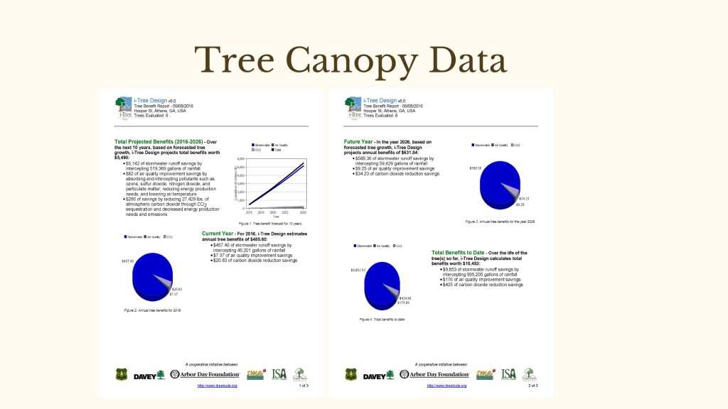 canopy-data