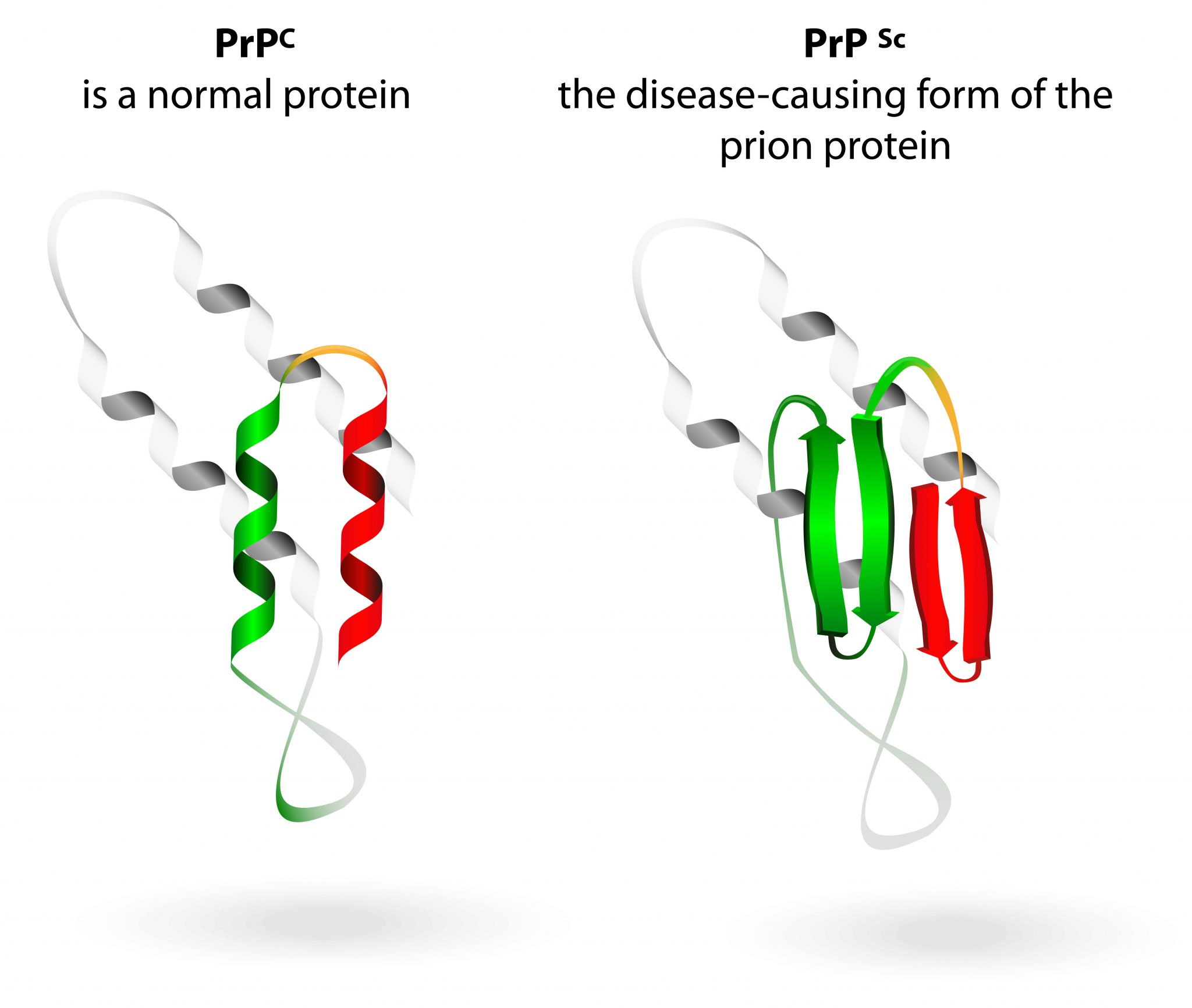 genetic-testing-fatal-familial-insomnia-biol2013h-2019