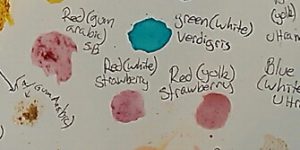 An image of the painted pigments we experimented with, specifically: Reds made with egg yolk, egg white, and gum arabic.