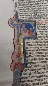 Image of a medieval illuminated initial with blue and pink pigments and gilding