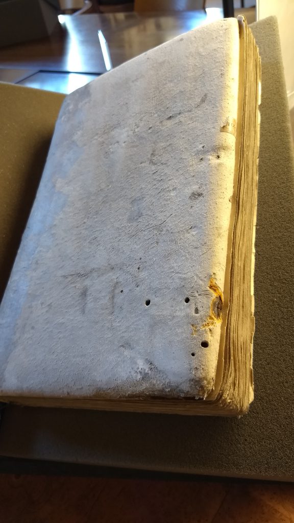 a cream-colored sueded cover on a medieval manuscript