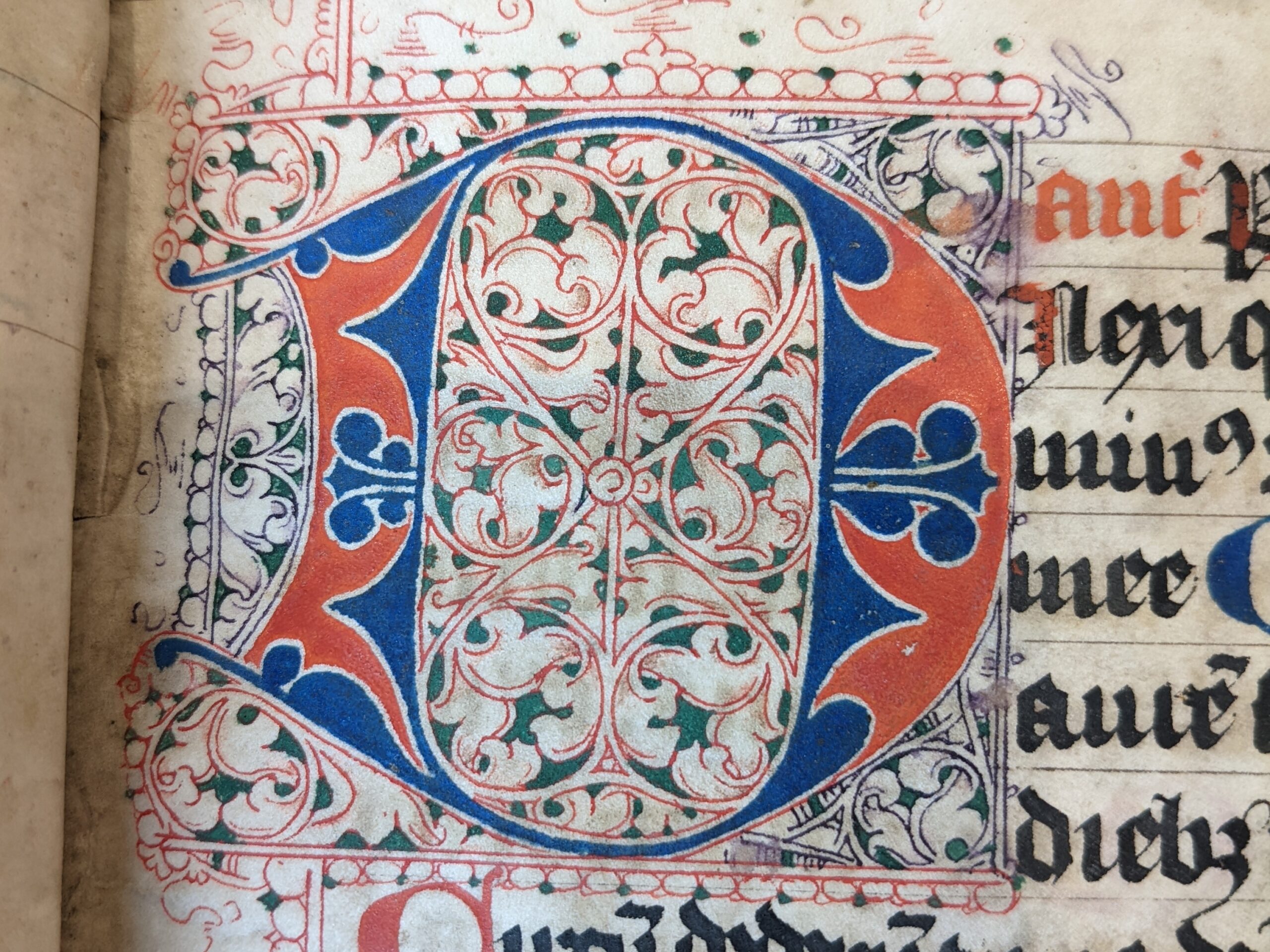 A large handwritten D surrounded by ornate penwork decoration.