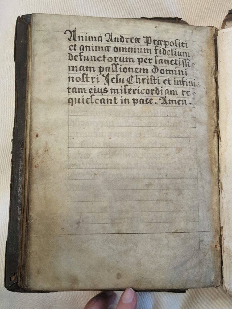 A parchment page with writing in black gothic letters on the top half only
