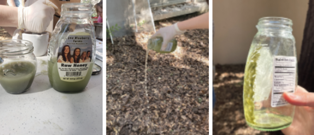 Image 1: The water and celadonite mixture in jars
Image 2: Pouring murky water out from the mixture onto the ground
Image 3: Green celadonite sediment left in the jar