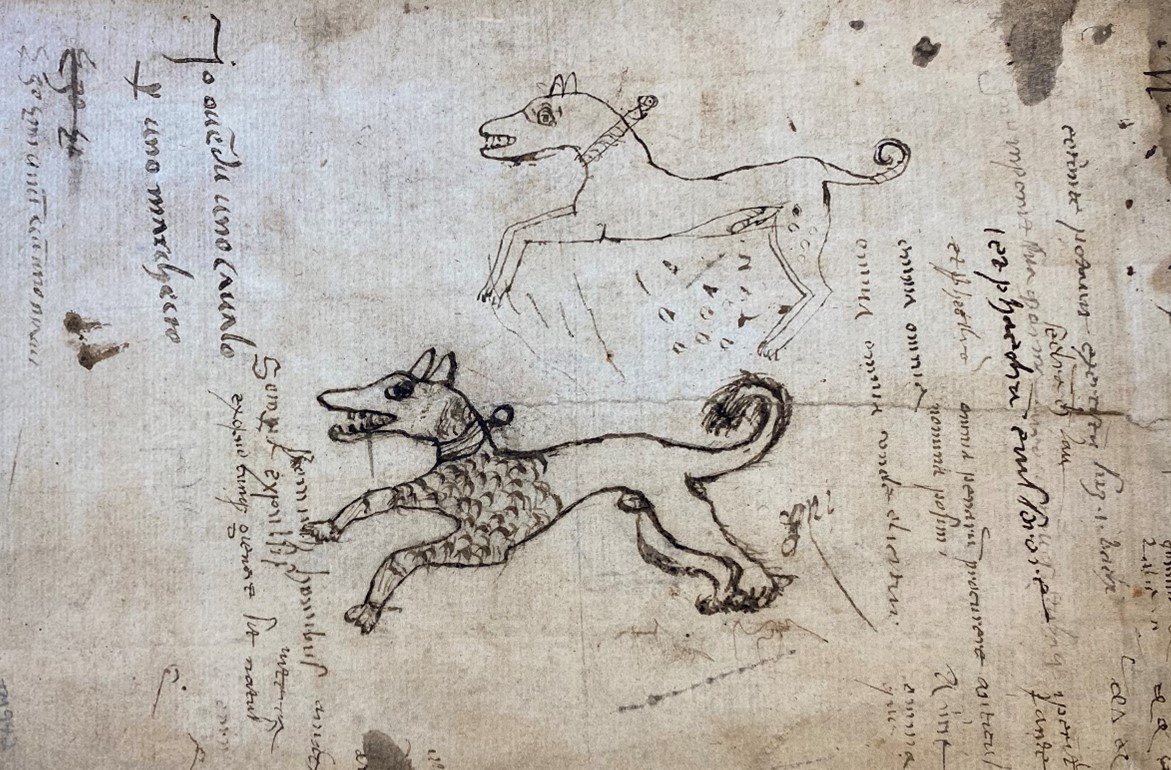 Two amateur ink doodles of dogs on the back cover of TM 942.