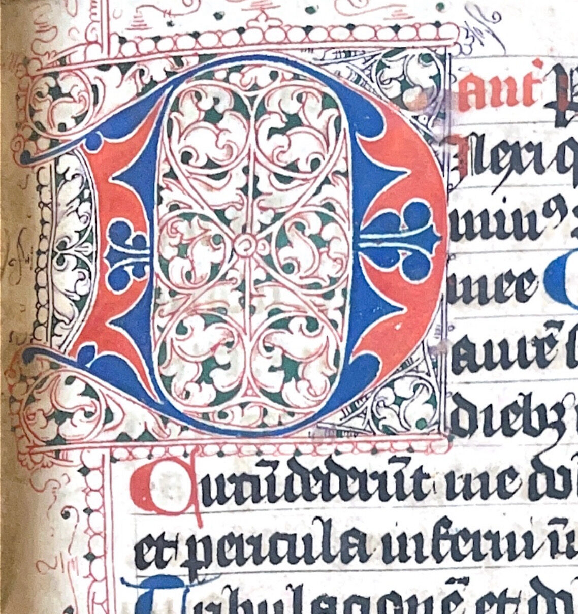 Illuminated initial of letter D in red and blue ink from Cologne Office of the Dead, 