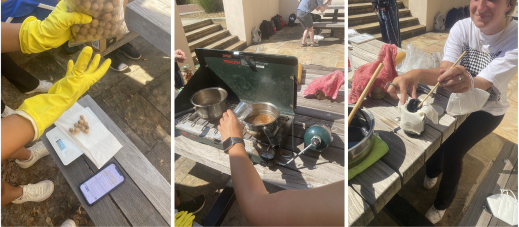 The first image depicts us carefully weighing oak galls on a kitchen scale, the second image depicts adding the gum arabic to our mixture on the camping stove, and the third image depicts straining the ink with a chopstick to help speed the process up.