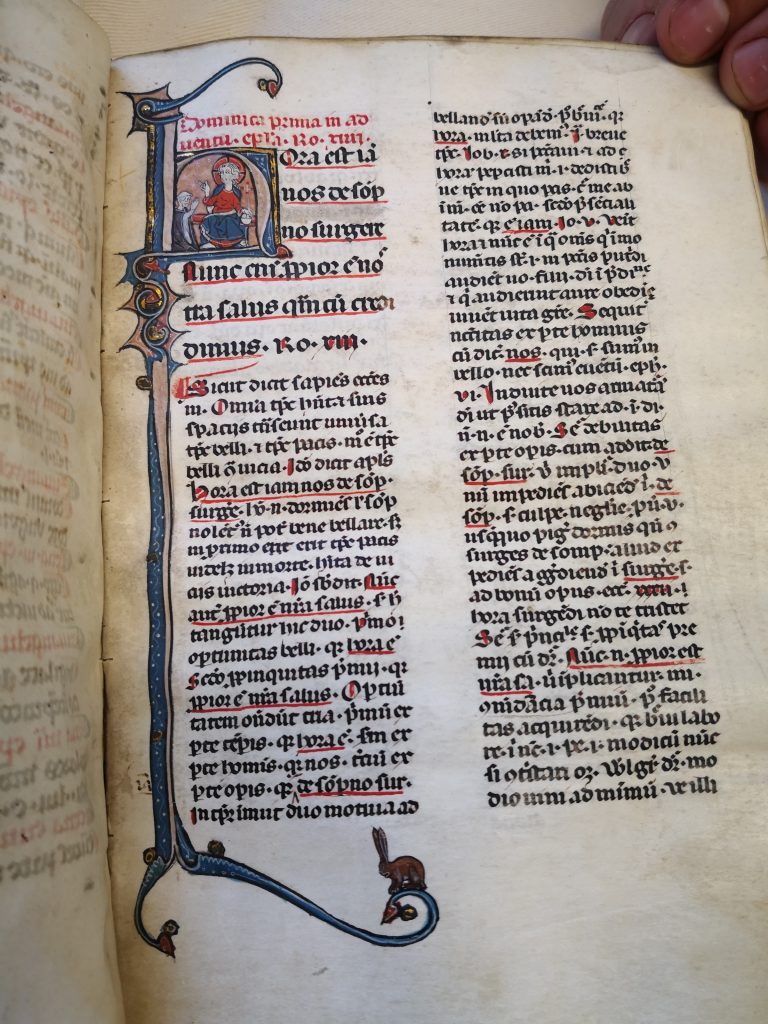 A photograph of the first page of the sermons on folio 13 showing two columns of text beginning a historiated initial "h" with a left-side border ending in a flourish at the bottom. A rabbit is sitting on the tail of the flourish.