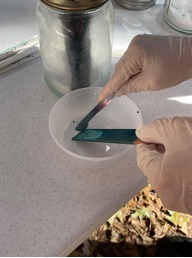 Student's gloved hands scraping verdigris pigment with a tool off of a copper rod into a bowl