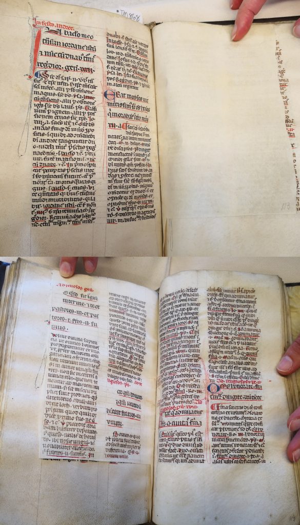 Two photographs of the open book showing the recto (top photo) and verso (bottom photo) of folio 13, which is cropped and smaller than the other folia in the book.