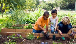 kids_gardening