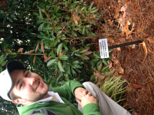 Discovering a plant native to GA in the founder's garden