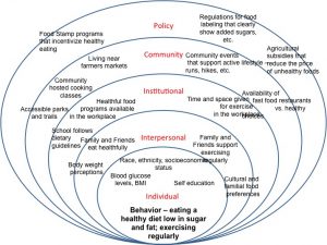 Ecological model hanna