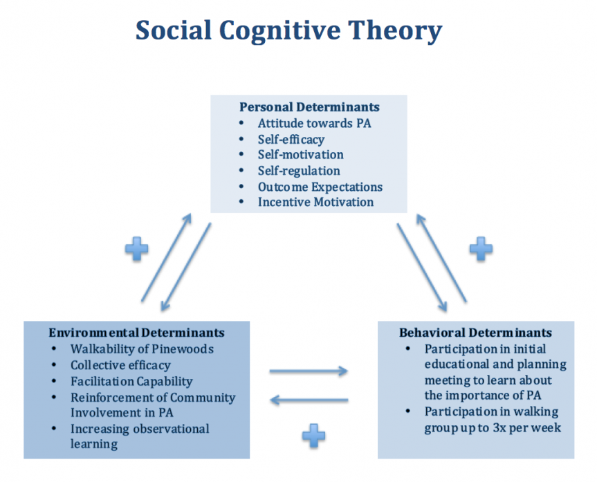 Social Support Interventions in Community Settings (Physical Activity ...