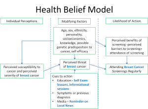 theoretical model revisions