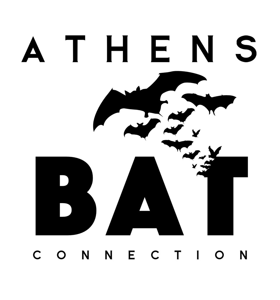 Stem capstone project examples pdf image