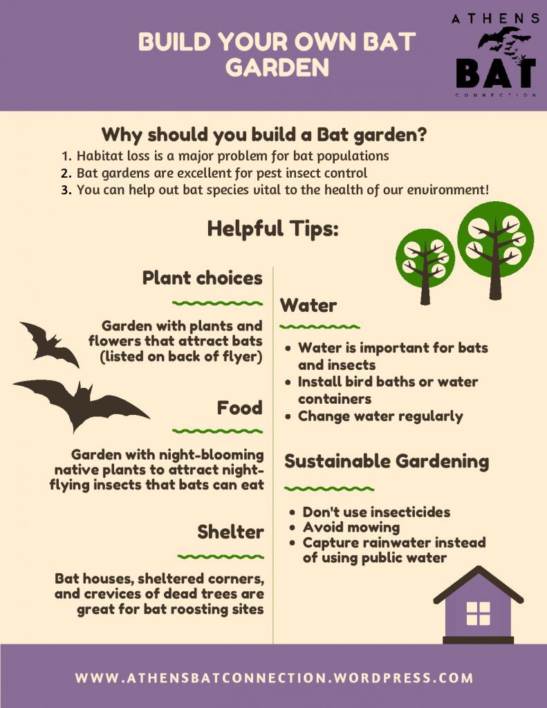 capstone projects sustainability