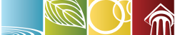 Sustainability Certificate