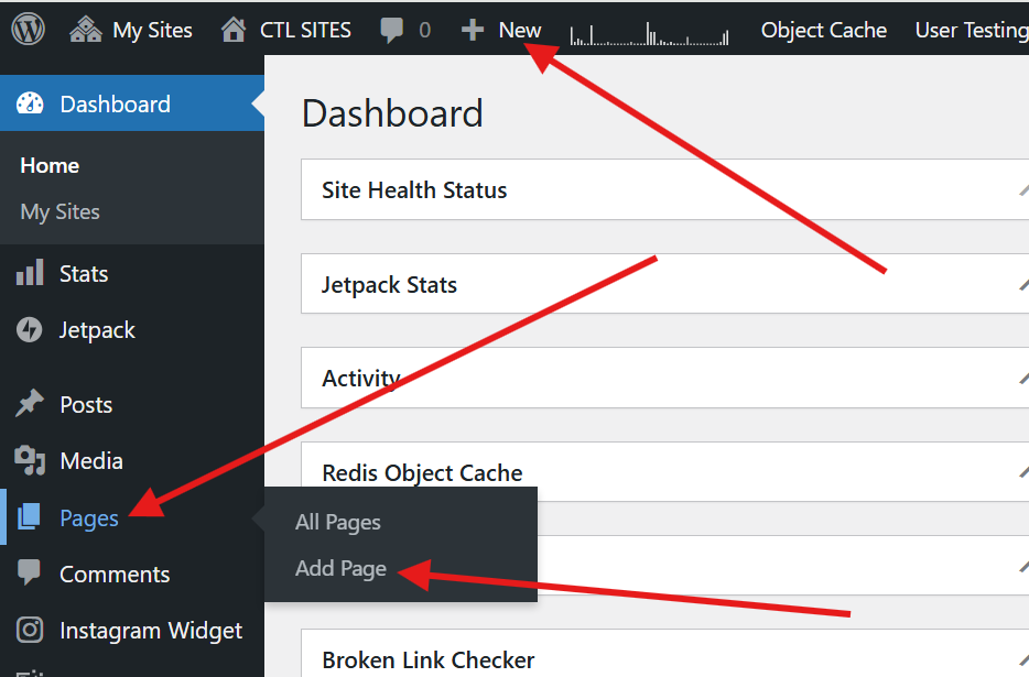 Screenshot of the WordPress dashboard highlighting the Pages menu