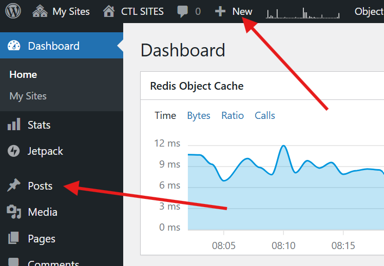 Screenshot of the WordPress dashboard highlighting the Posts menu